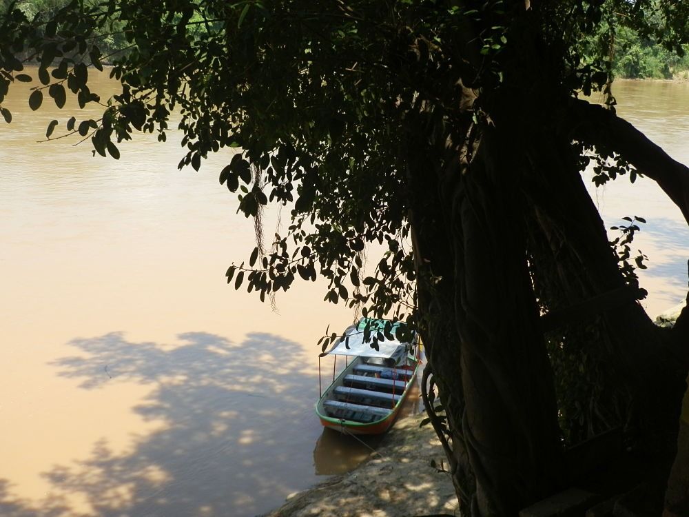 Ambientalistas del departamento del Tolima buscan dejar sin efectos licencia para explotar oro en el río Saldaña