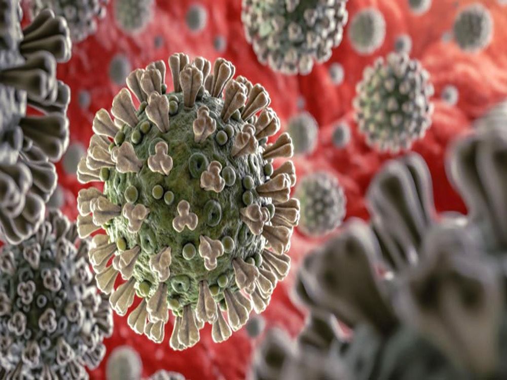 Entrevista con Eric Geovanny Delgado Zárate sobre el coronavirus COVID-19. Magíster en Enfermedades Infecciosas y Medicina del Trópico
