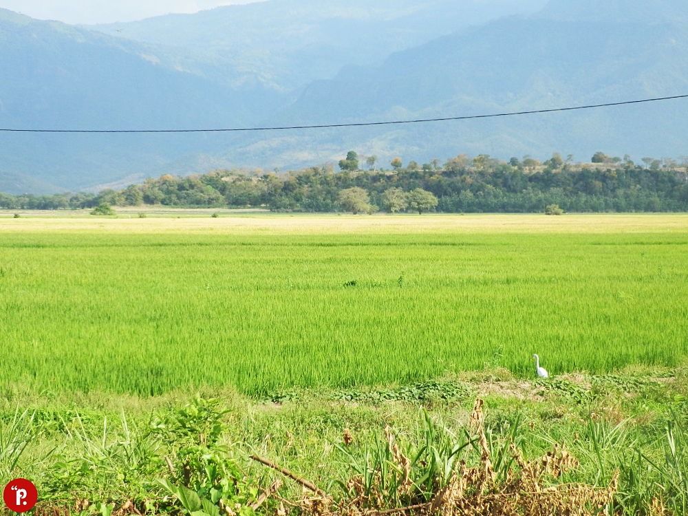 El gobierno de Duque reduce $141 000 millones de presupuesto para el campo