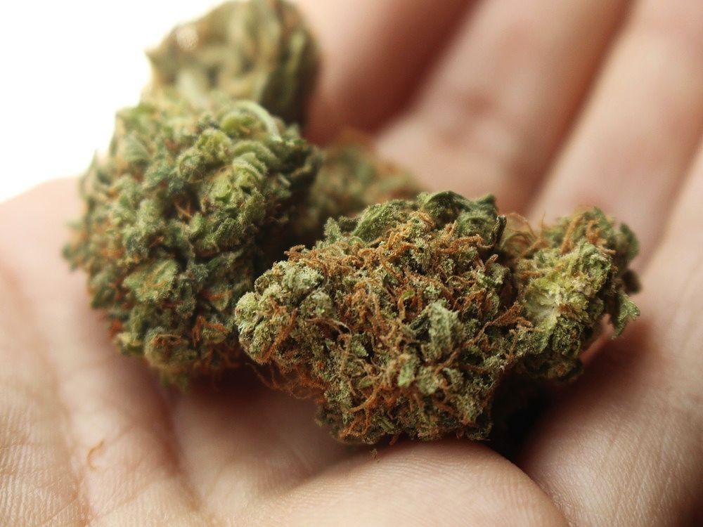 Autoridades encuentran marihuana cripy en agencia de encomiendas en Girardot