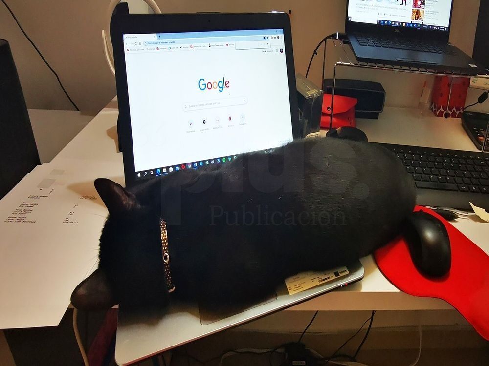 Avanza en el Congreso Ley que regule el trabajo en casa