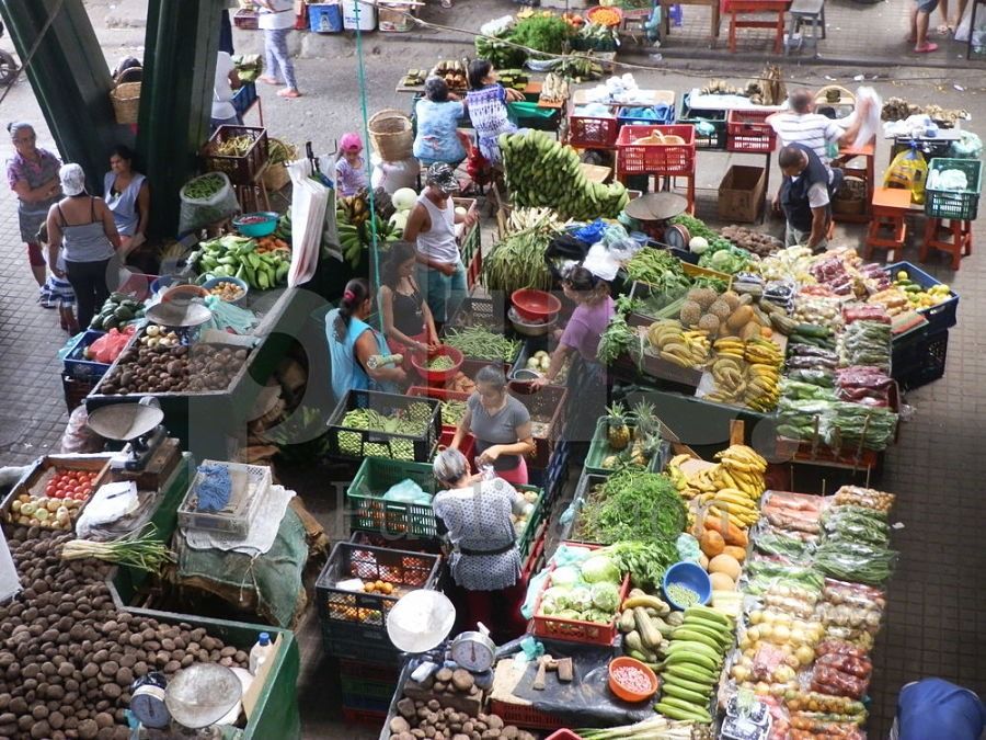 Con el tema de la Plaza de Mercado de Girardot inicia programación cultural la tercera semana de diciembre  el Banco de la República