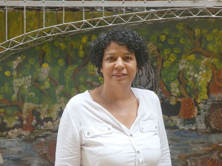 En Girardot los árboles producirán libros.  En pocos días se recogerán los  «frutos literarios»