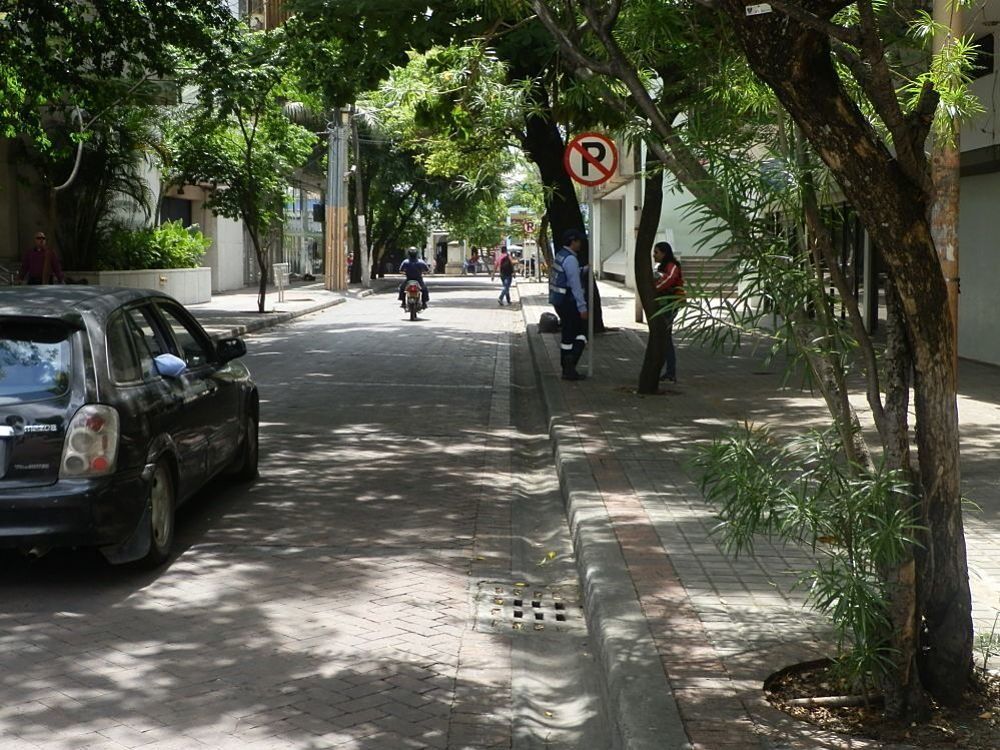 Nueva campaña pedagógica de seguridad vial anuncia el secretario de tránsito y transporte de Girardot