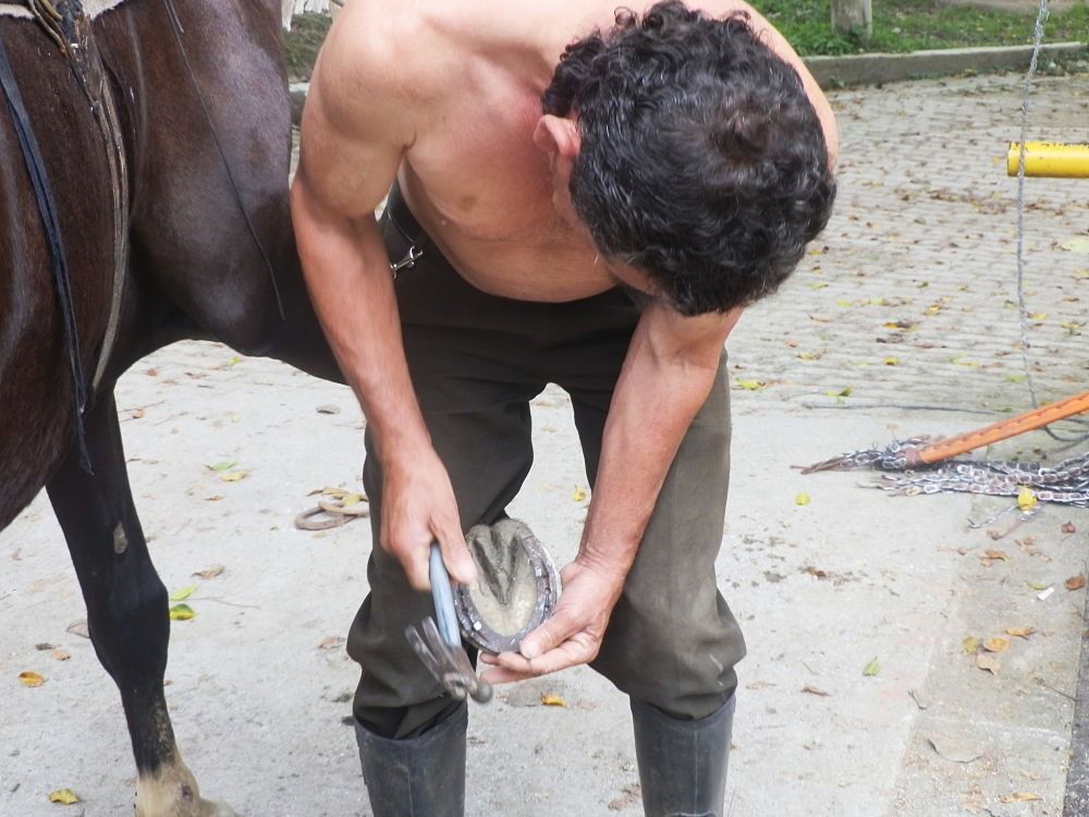 No hay pronunciamiento oficial del alcalde de Girardot sobre la autorización de la cabalgata en la programación del Reinado Nacional del Turismo